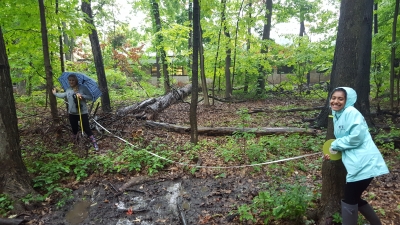 Students in the field for Ecology